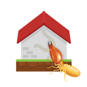 graphic of a termite on a house